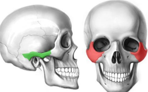 顴弓顴骨所在位置