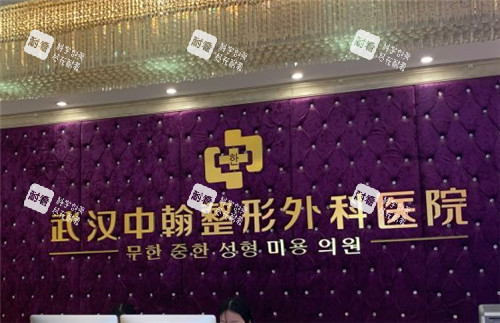 武漢中翰整形logo前臺(tái)墻面