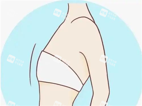 平胸動(dòng)畫展示圖