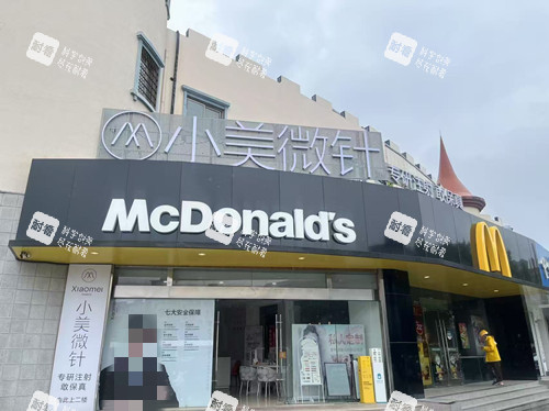 寧波小美微針外觀圖