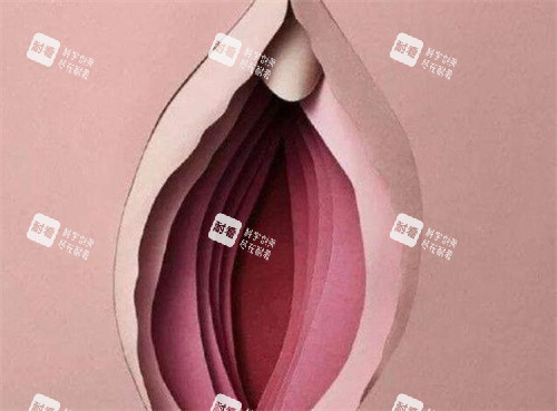 處女膜抽象演示圖 處女膜抽象演示圖