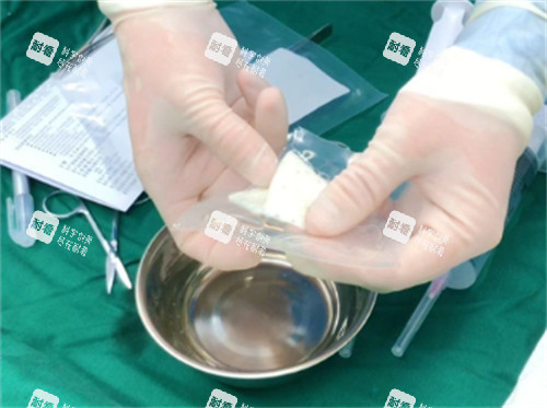 陰莖生物補(bǔ)片包裝