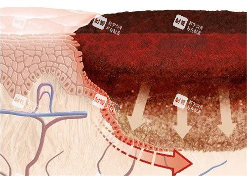 健康皮膚科和疤痕
