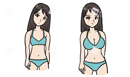 隆胸前后對比卡通