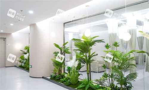 深圳普瑞眼科（星耀店）內(nèi)部環(huán)境