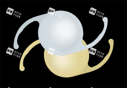 愛爾康人工晶體圖片展示 愛爾康人工晶體圖片展示