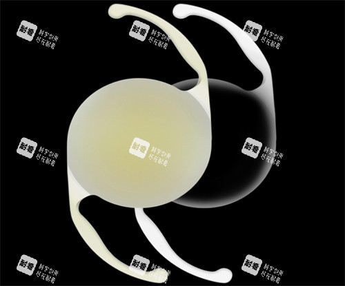 愛爾康人工晶體展示圖 愛爾康人工晶體展示圖