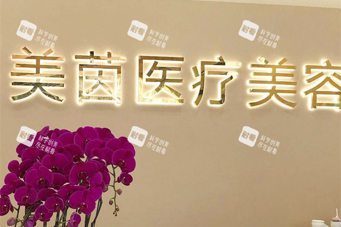 成都美茵醫(yī)療美容logo墻