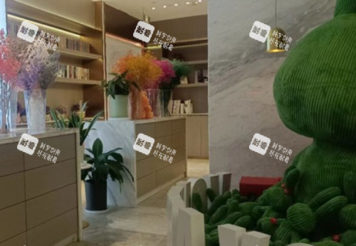哈爾濱瑞麗醫(yī)療美容內部一角環(huán)境