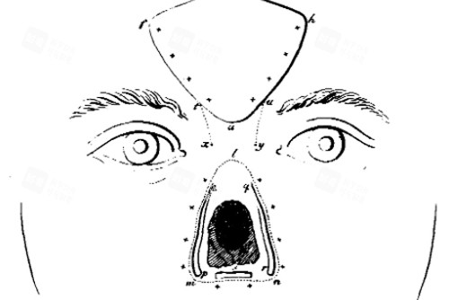鼻再造術(shù)前設(shè)計(jì)
