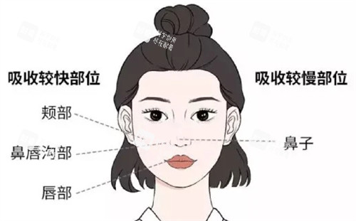 饅化臉修復(fù)方法