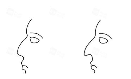 鼻子動(dòng)畫圖.