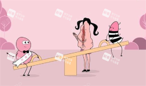 私密整形可以治療的部位圖解