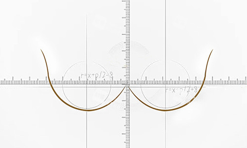 胸部比例拋物線展示