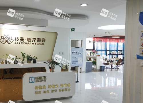 鄭州枝蔓醫(yī)療美容前臺(tái)