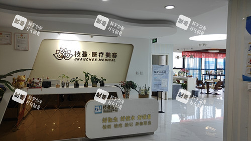鄭州枝蔓醫(yī)美導(dǎo)診臺(tái)
