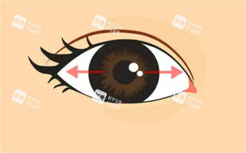 眼球震顫的表現(xiàn)圖解