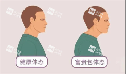 富貴包和健康體態(tài)對(duì)比動(dòng)畫圖