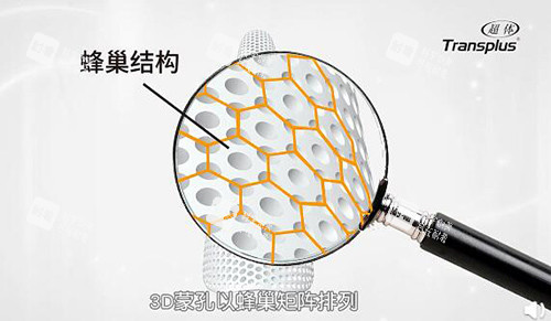 超體隆鼻蜂巢結(jié)構(gòu)