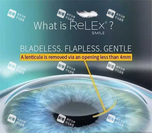 全飛秒動(dòng)畫(huà)