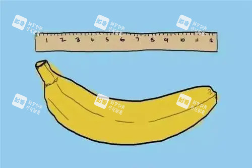 男性私密卡通圖