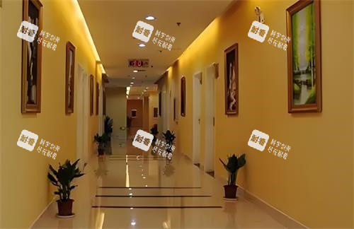 武漢五洲整形過道環(huán)境圖