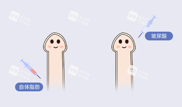 自體脂肪增大增粗照片 自體脂肪增大增粗照片