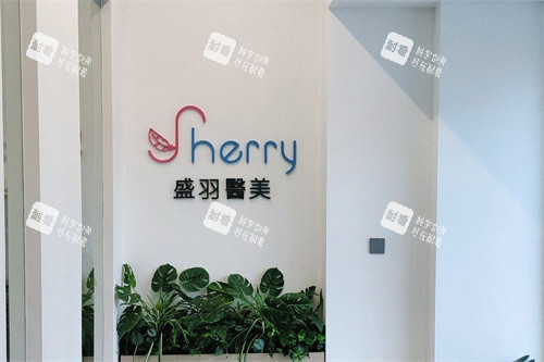 長春盛羽醫(yī)療美容logo墻