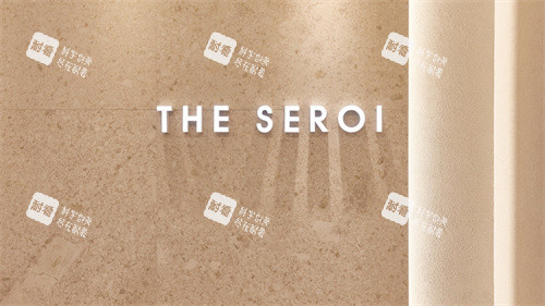 韓國(guó)theseroi整形外科LOGO