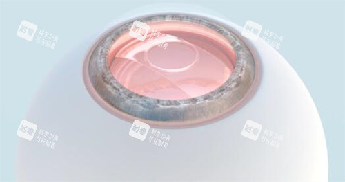 眼球展示圖照片