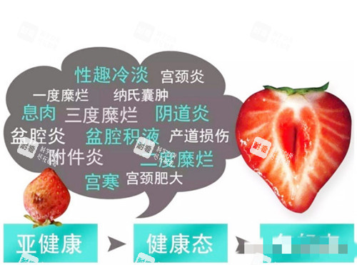 菲蜜麗解問(wèn)題圖示