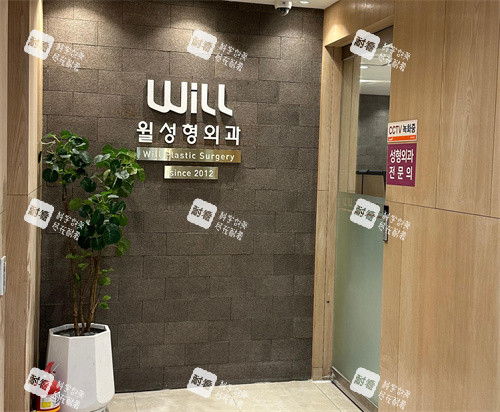 韓國(guó)will整形logo墻