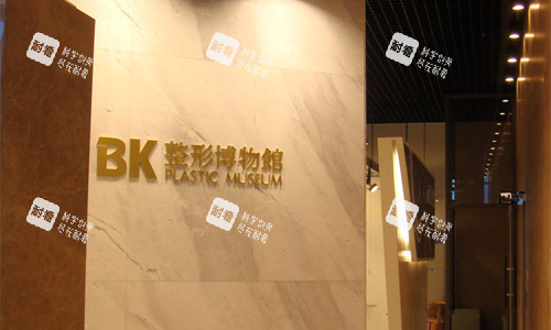 韓國(guó)BK整形logo圖 韓國(guó)BK整形logo圖