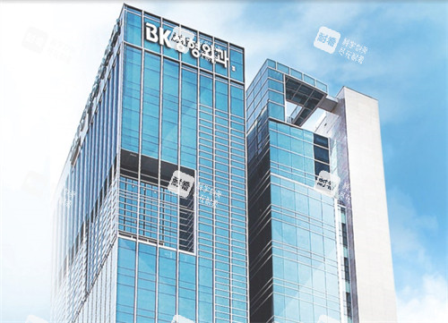 韓國(guó)BK整形外科醫(yī)院大樓 韓國(guó)BK整形外科醫(yī)院大樓